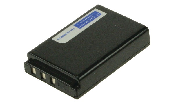 EasyShare DX7590 Bateria
