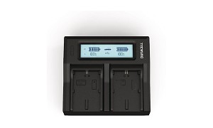 Alpha NEX-FS100EK Duracell LED Dual DSLR Battery Charger